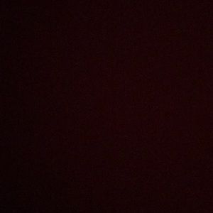 Meet your Posher, Will